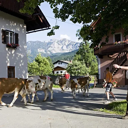 Hansbauerhof 4*
